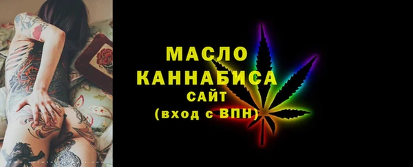 индика Вяземский