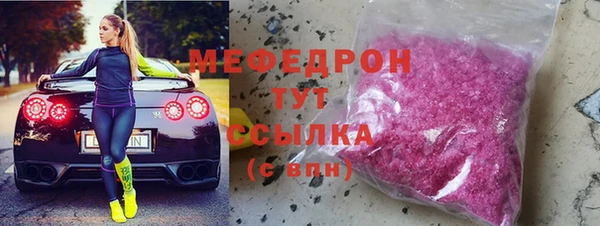 индика Вяземский